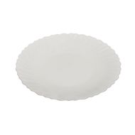 Glass plate, 20 cm
