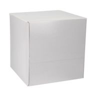 Boutique Facial Tissue 100 sheets