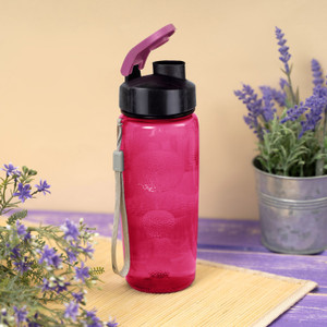 Water bottle, 500 ml, in assortment