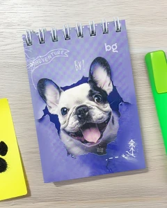 Set of notebooks, 3 pcs, 40 sheets, assorted