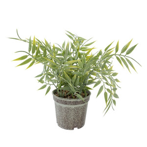 Artificial plant-Green-Encephalartos
