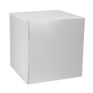 Boutique Facial Tissue 100 sheets
