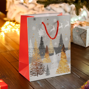 Gift bag, Snow Fantasy, 18x10x23 cm, assorted