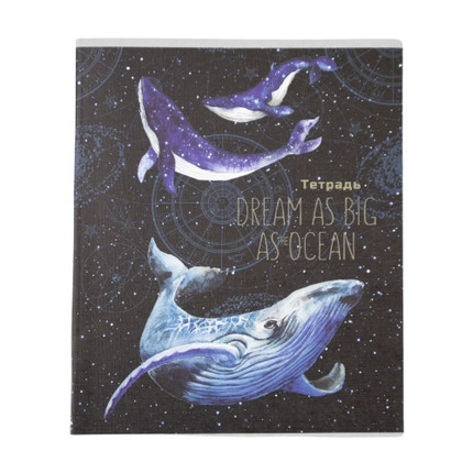 Notebook, A5, 48 sheets, squared, assorted