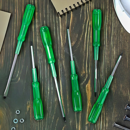 Screwdriver set, Master Hand, 6 pcs.