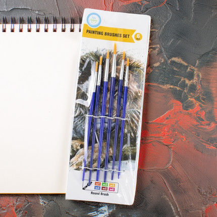 Set of paint brushes, 6 pcs., 16-18.5 cm