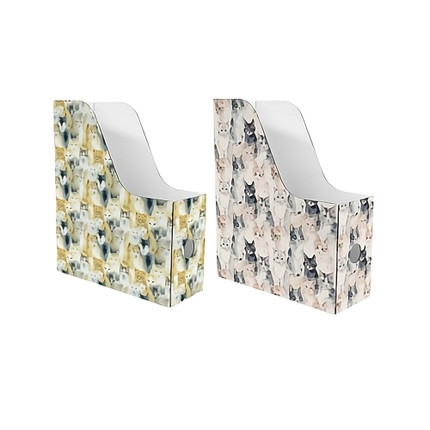 Cardboard document trays, 2 pcs., 30x25x9.7 cm, assorted