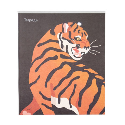 Notebook, A5, 48 sheets, squared, assorted