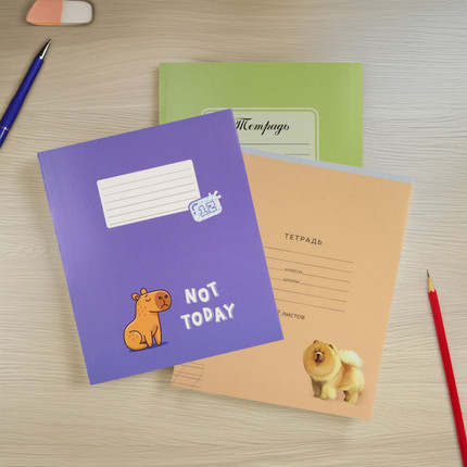 Notebook, 12 sheets, slanted or narrow line