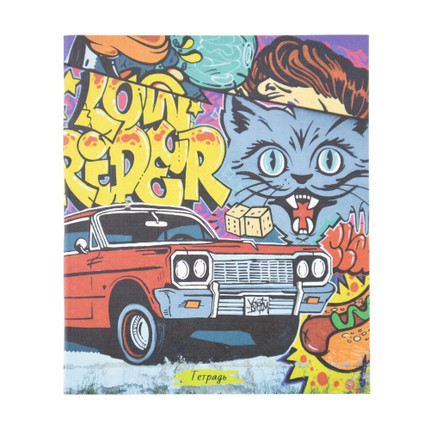 Notebook, A5, 48 sheets, squared, assorted