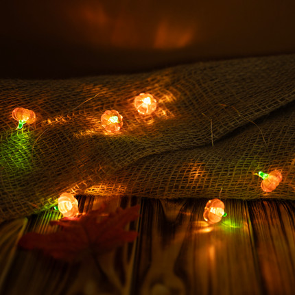 Pumpkin string lights