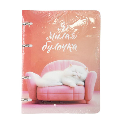 Ring binder notebook, A5, 100 sheets, assorted