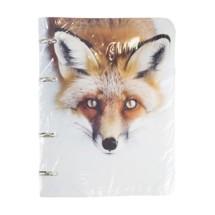 Ring binder notebook, A5, 100 sheets, assorted