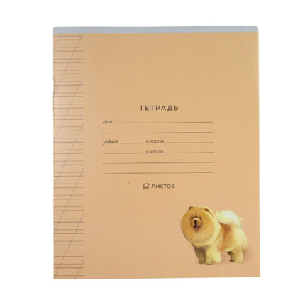 Notebook, 12 sheets, slanted or narrow line