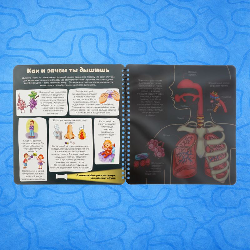 Book on cardboard Smart Windows