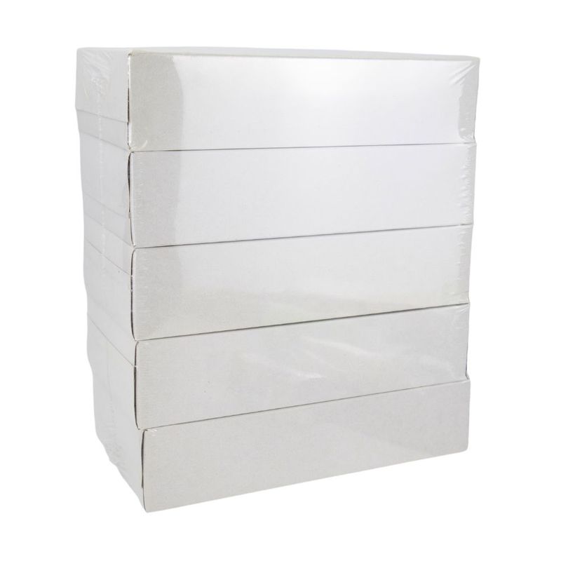 Plain Facial Tissue 100 Sheets* 5pcs