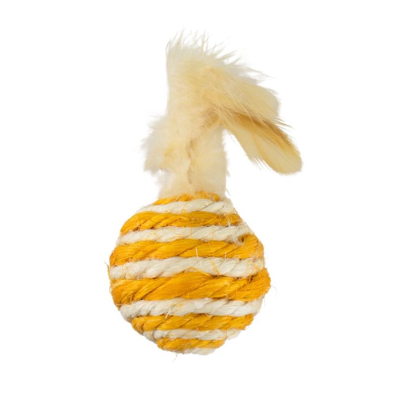 Pet toy ball with feathers