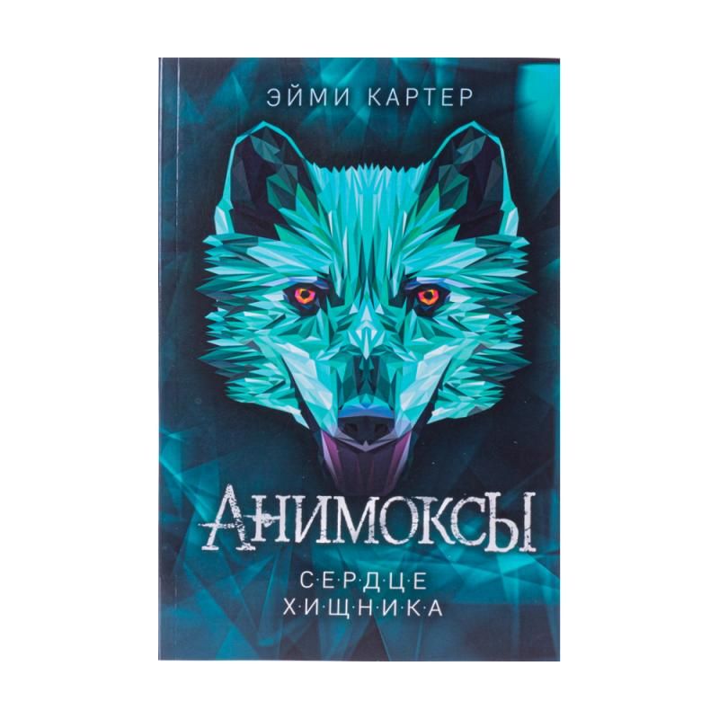 Book (fiction for teenagers)