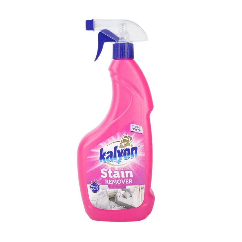 Stain Remover 750 ML