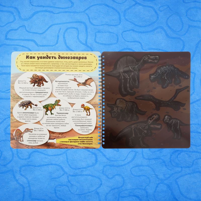 Book on cardboard Smart Windows