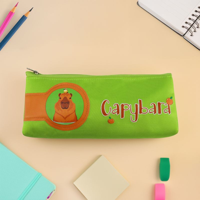 Pencil case, assorted