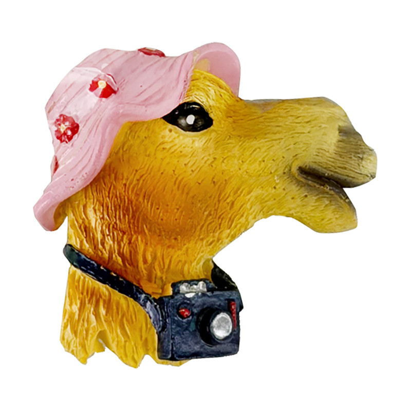 Resin Magnet Camel, assorted