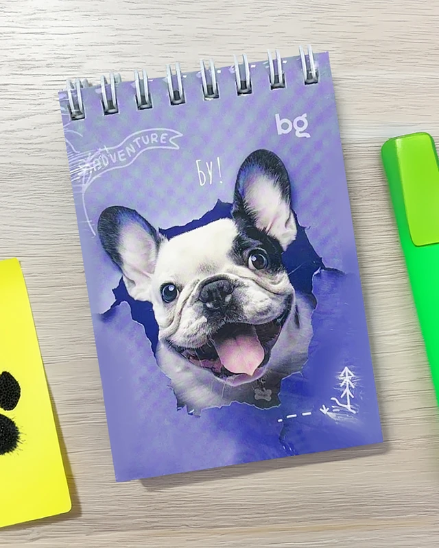 Set of notebooks, 3 pcs, 40 sheets, assorted