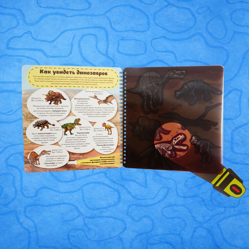 Book on cardboard Smart Windows