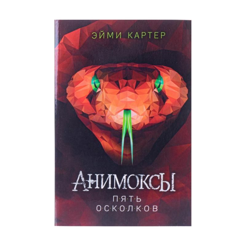 Book (fiction for teenagers)