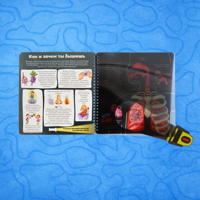 Book on cardboard Smart Windows