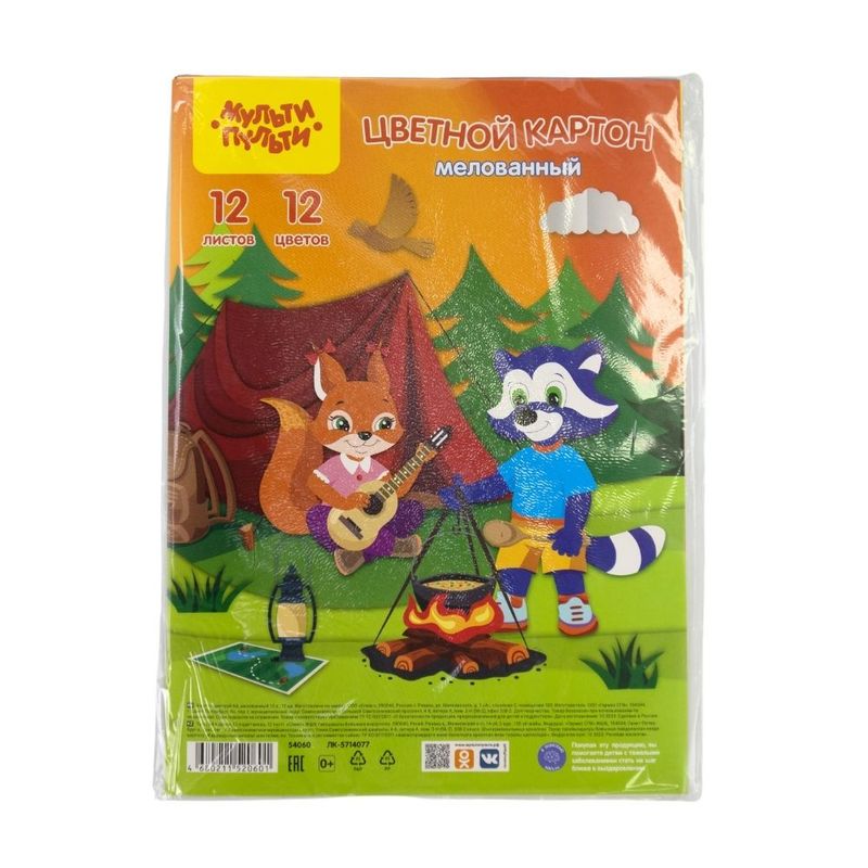 Colored cardboard, 12 sheets, assorted