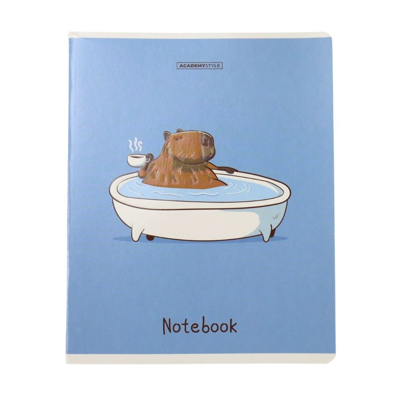Notebook A5 48 sheets, assorted