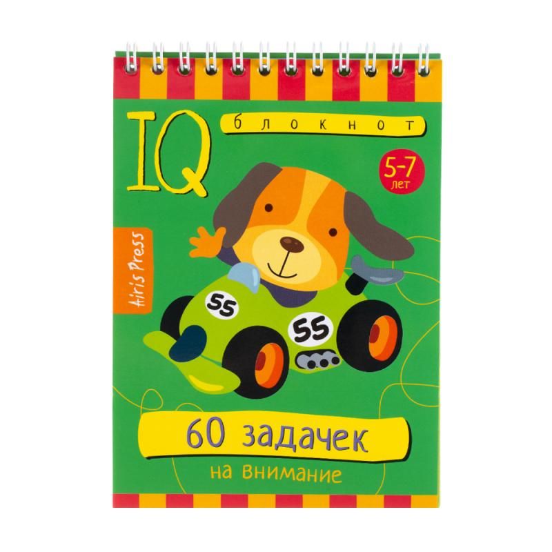 IQ notebook