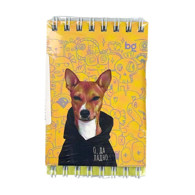 Set of notebooks, 3 pcs, 40 sheets, assorted